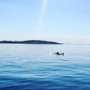 Kornati area, Croatia