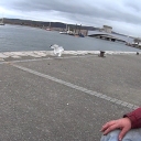 Second Chance Sailing